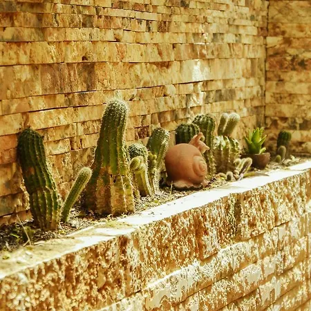 Hotel Liro - Adults Only Radhimë