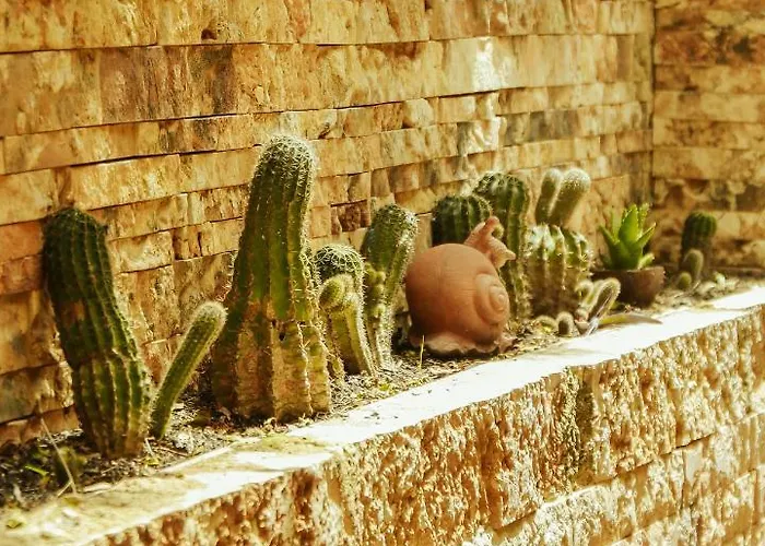 Hotel Liro - Adults Only Radhimë