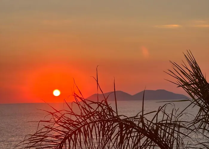 Hotel Liro - Adults Only