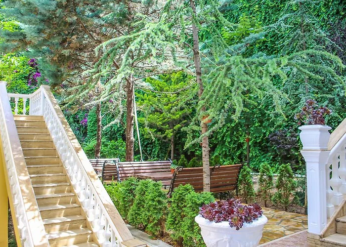 Liro - Adults Only Radhime